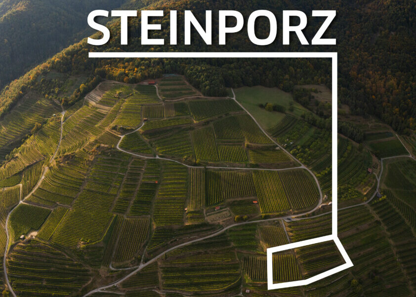 Steinporz